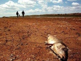 El Banco Mundial alerta de que la subida de 4ºC de temperatura provocaría “dramáticas consecuencias” para el Planeta